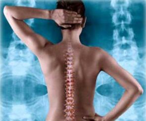 ілюстрацыя спіны пазваночніка