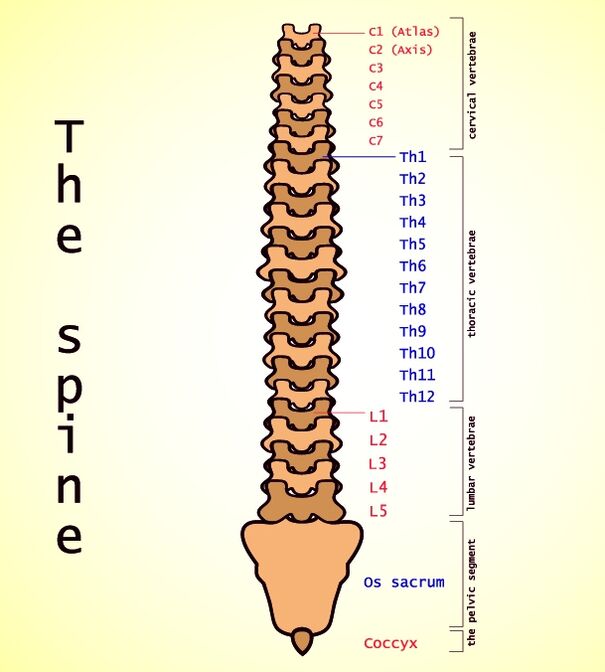 паяснічны астэахандроз